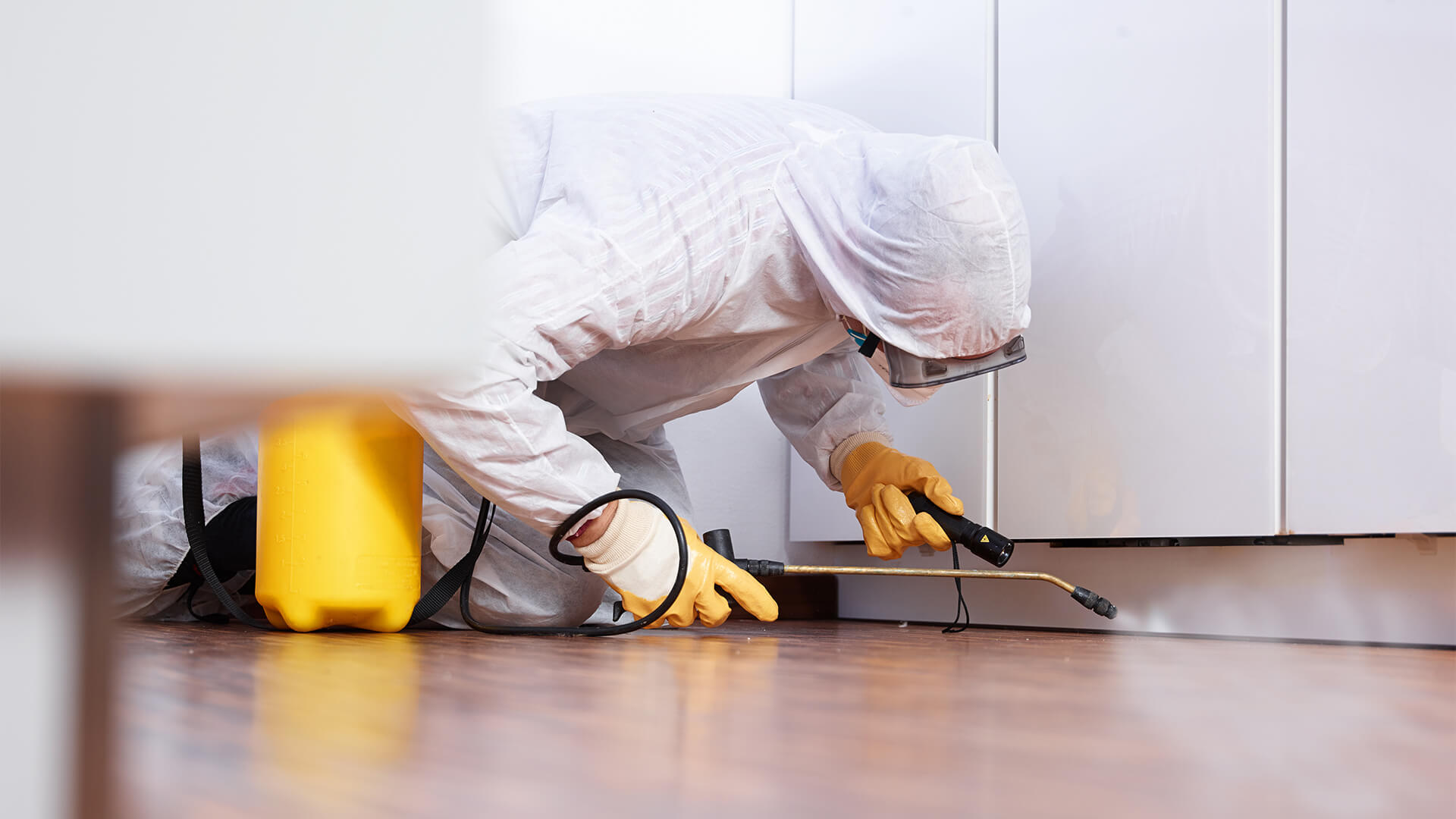 Ensuring Cleanliness with Commercial Pest Control