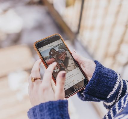 The Role of Community Input in Driving Instagram Likes