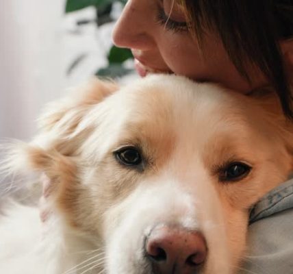 The Sneaky Fatigue Connection: Sinuses and Exhaustion