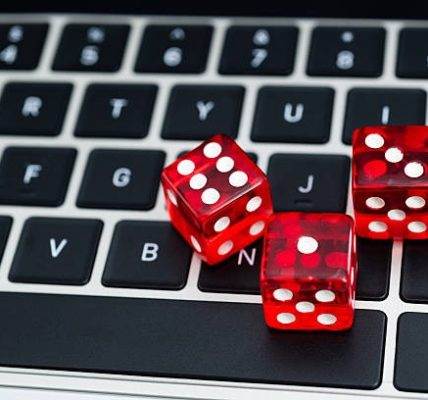 Beginner Guide to casino en ligne fiable Platforms